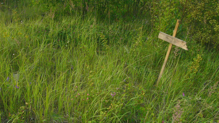 Russian Missile Site 63