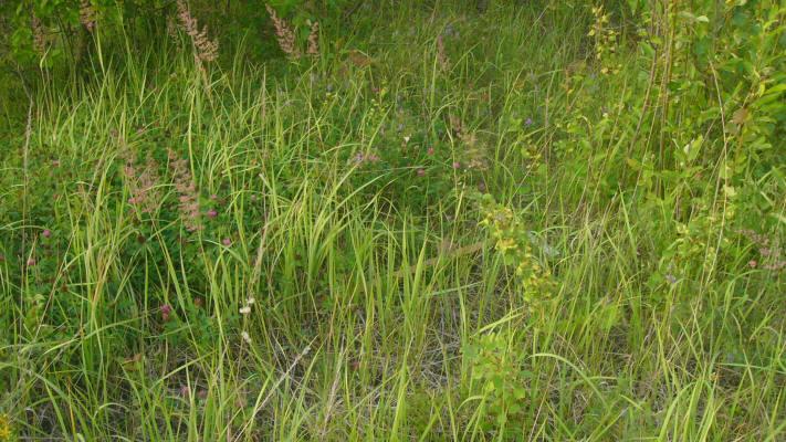 Russian Missile Site 65