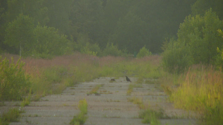 Russian Missile Site 70