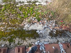 IMG_20201011_132002_1